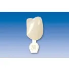 Couronne Ion Polycarbonate 031 5pcs