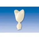 Couronne Ion Polycarbonate 032 5pcs