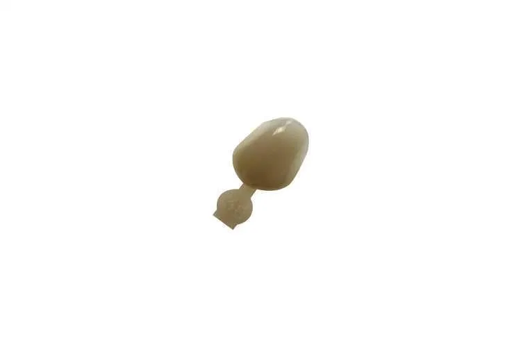 Couronne Ion Polycarbonate 038 5pcs