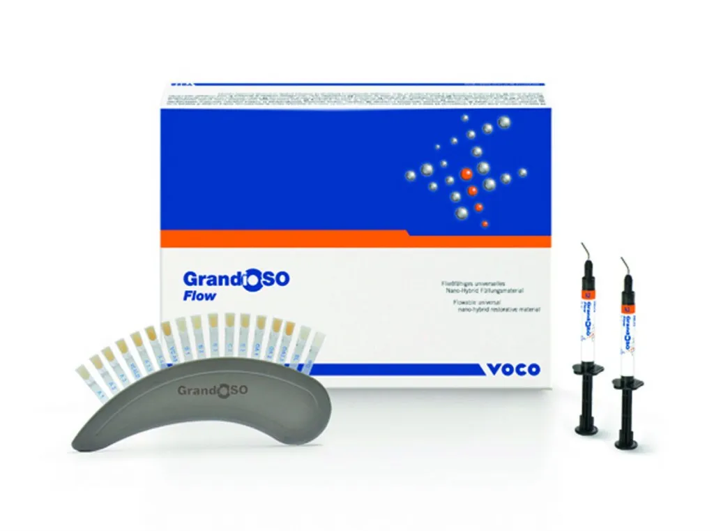 Grandio So Flow Seringue Oa2 2x 2gr