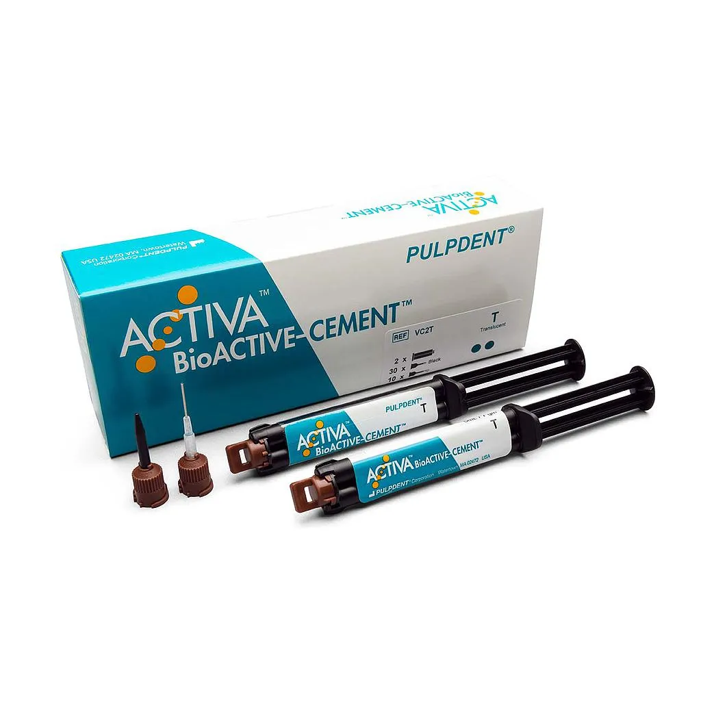 Activa Bioactive Ciment Seringue Transp. 5ml