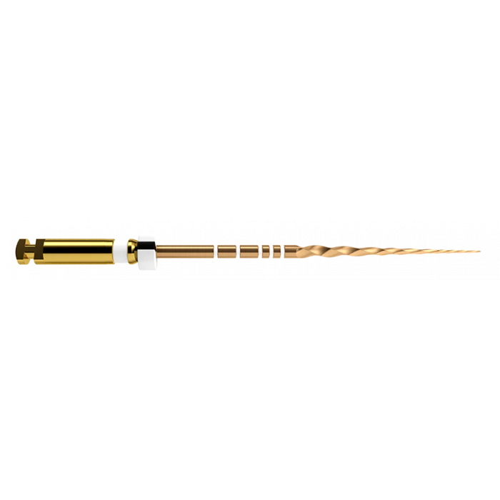 Protaper Gold 31Mm S2  6pcs