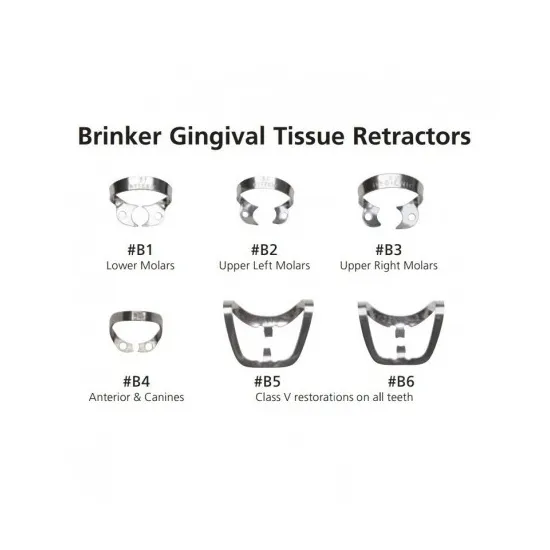 Clamp B5 All Bicuspids & Incisors