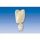 Couronne Ion Polycarbonate 017 5pcs