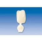Couronne Ion Polycarbonate 023 5pcs