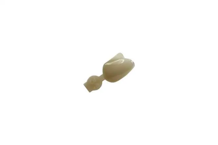 Couronne Ion Polycarbonate 034 5pcs