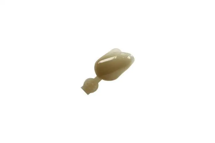 Couronne Ion Polycarbonate 302 5pcs