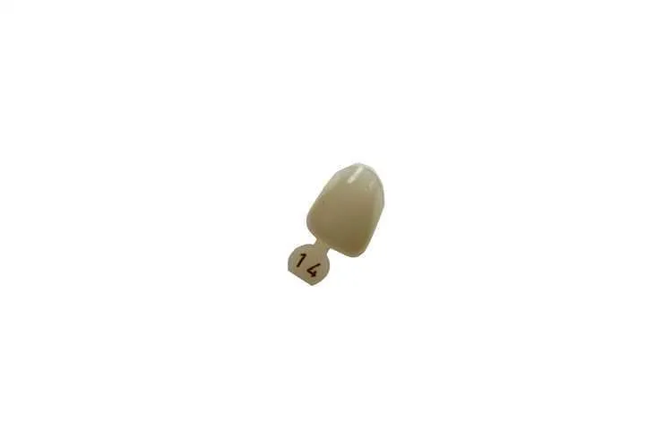 Couronne Ion Polycarbonate 014 5pcs